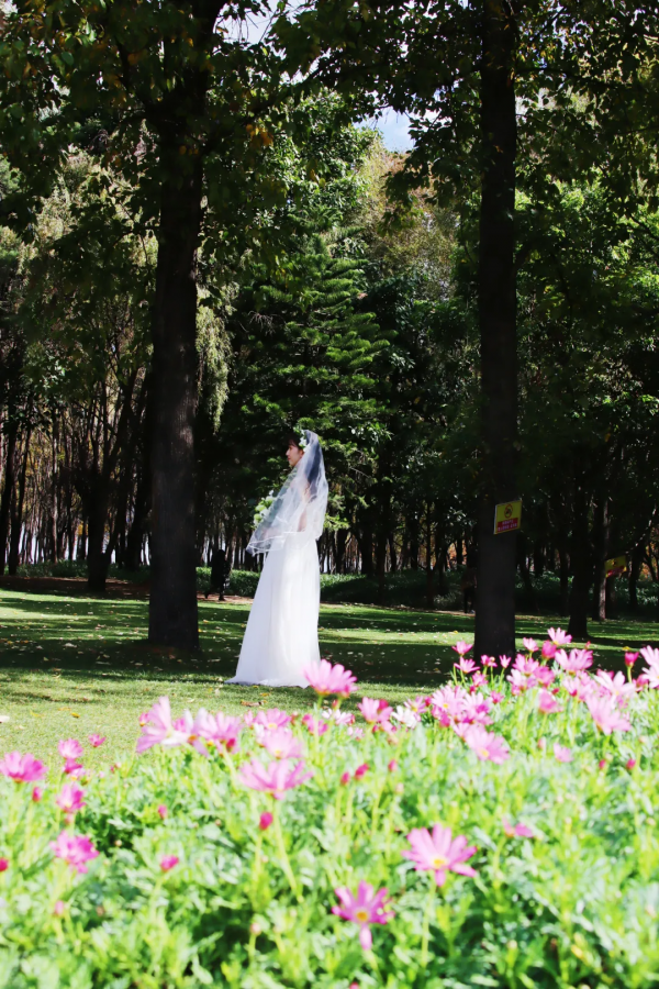 冬天的洱海生態廊道,美出新高度 冬天的洱海生態廊道,美出新高度