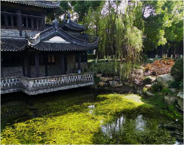 上海冷門園林，地處郊區名氣小，空氣清新古香古色景點眾多