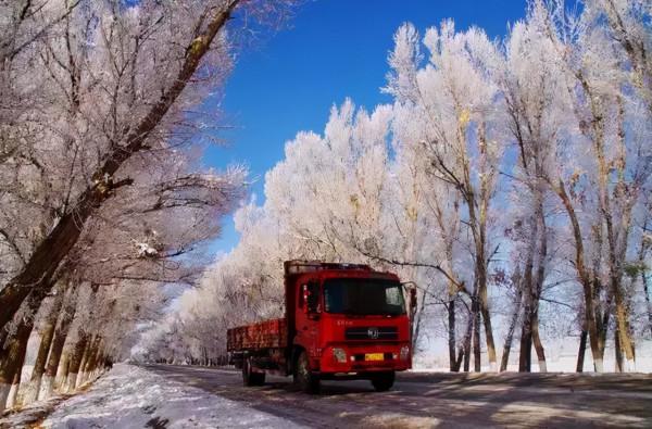新疆霧凇,這才是完美冬天的開啟方式,真正的冰雪王國... 新疆霧凇,這才是完美冬天的開啟方式,真正的冰雪王國...