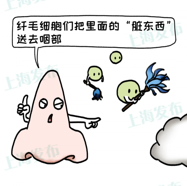 【醫聊】@鼻炎深度使用者，為什麼“傳送”這麼多鼻涕？