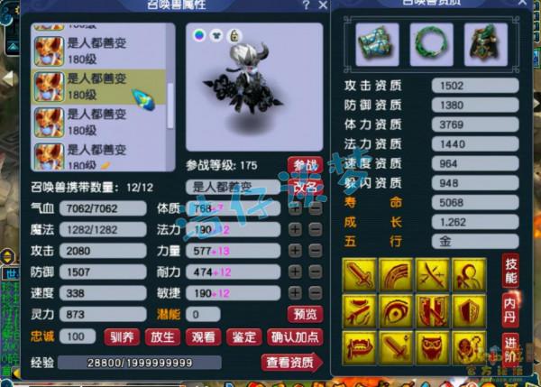 夢幻西遊：175群雄64強女兒村極品裝備加身，1只大海龜竟是服戰級