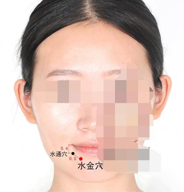 中醫針灸肩部疾病處方1 中醫針灸肩部疾病處方1