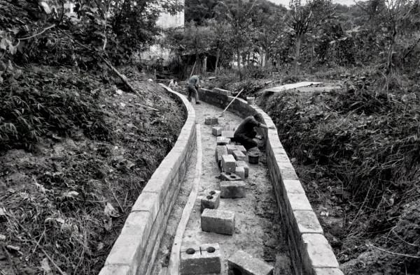 民間故事：工人修建水渠，挖到了蛇窩，放羊老漢說，準備50只老鼠