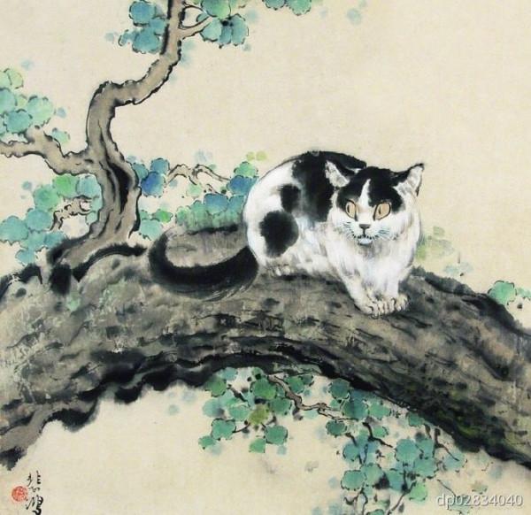 實在太多了，大家抱走一隻吧——貓