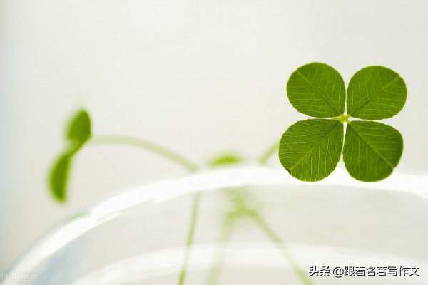 不會寫《中秋節致好友的一封信》？這篇文章，或許能幫到你