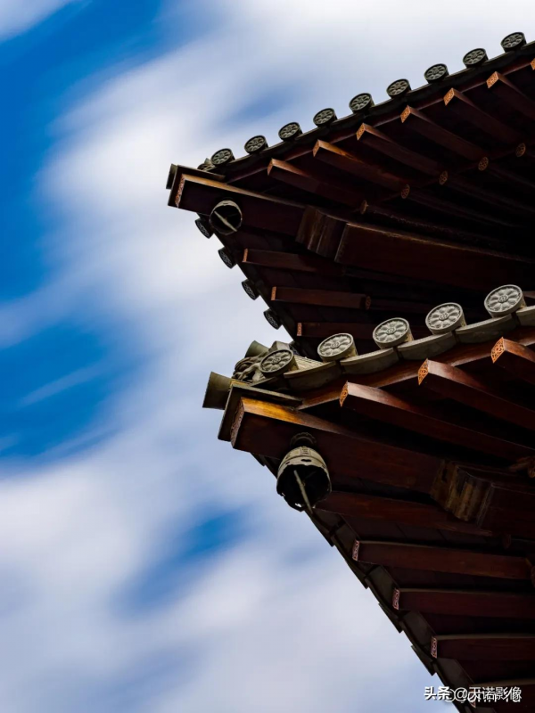 於江雪:我和哈蘇的愛恨情仇 於江雪:我和哈蘇的愛恨情仇