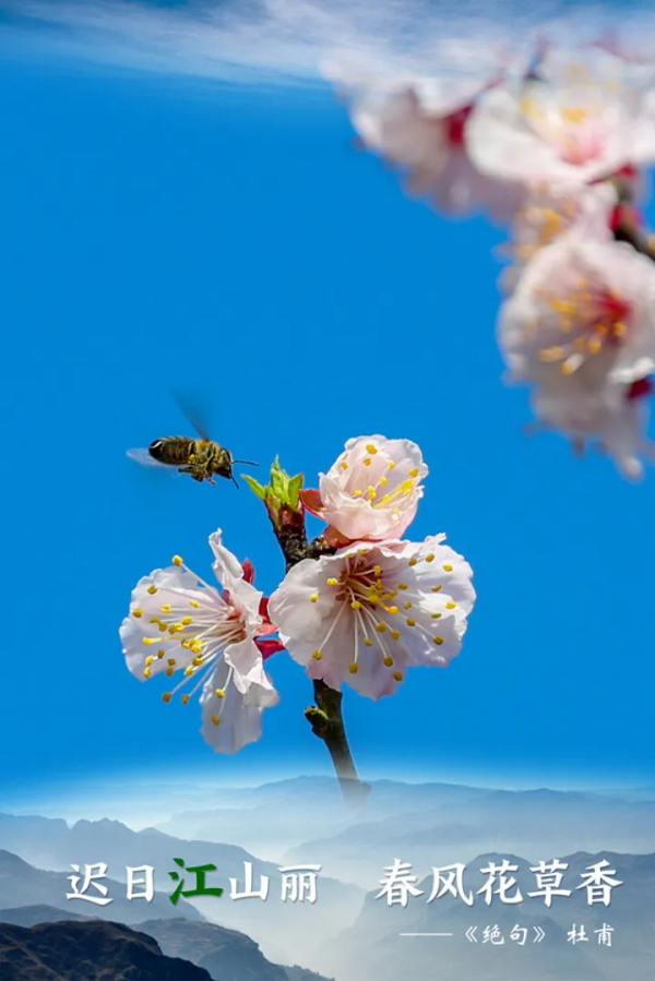 超驚豔！唐詩裡的&OpenCurlyDoubleQuote;青&rdquo; &OpenCurlyDoubleQuote;白&rdquo; &OpenCurlyDoubleQuote;江&rdquo;