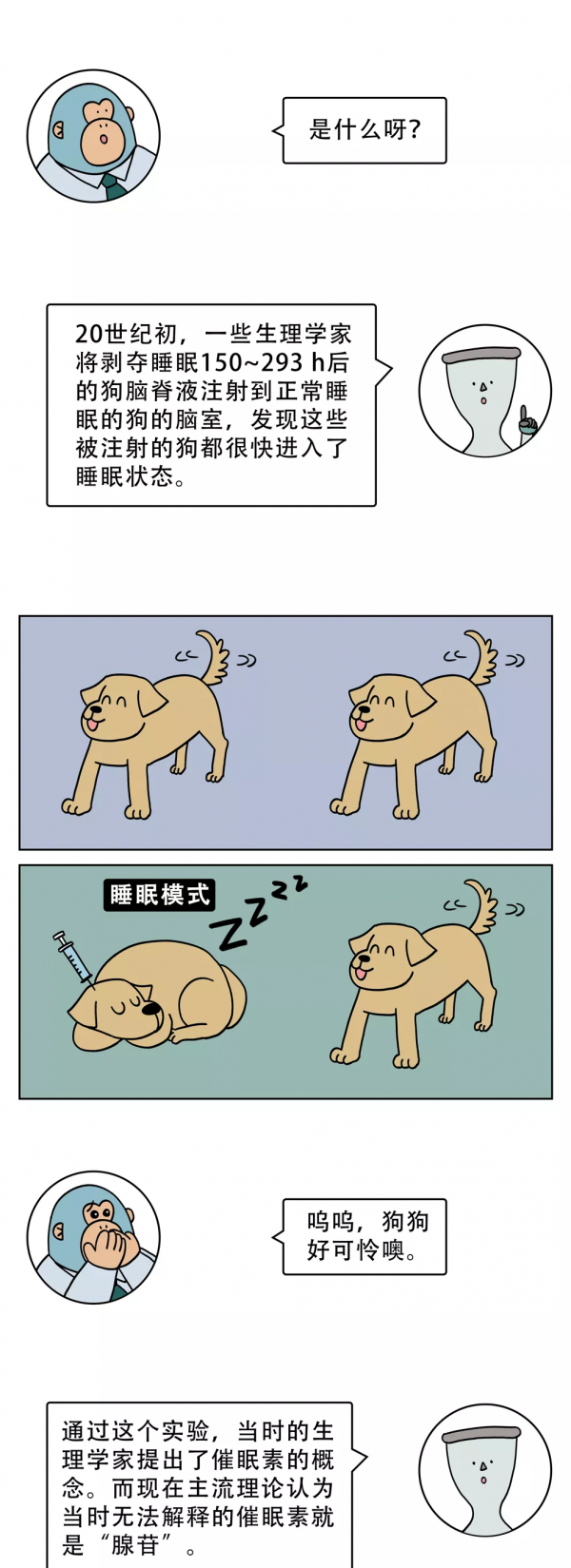 為什麼熬夜後，反而變精神了？