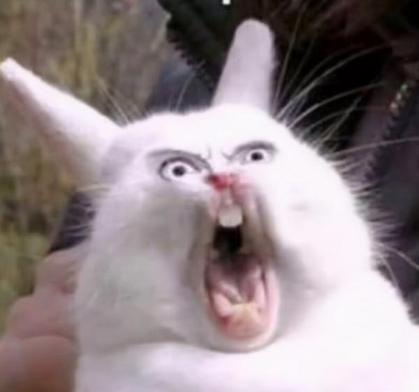 日本男性用AI去除18X影片馬賽克，獲利1100萬被警方逮捕|ACGN新聞