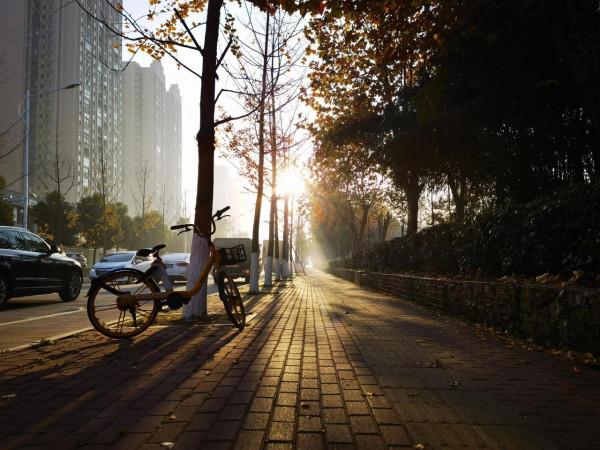 華為mate40pro拍照效果怎麼樣？看圖