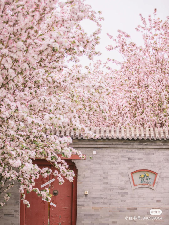 有了美美的漢服,是不得有些古色古香的地點拍照,來看看景點吧 有了美美的漢服,是不得有些古色古香的地點拍照,來看看景點吧
