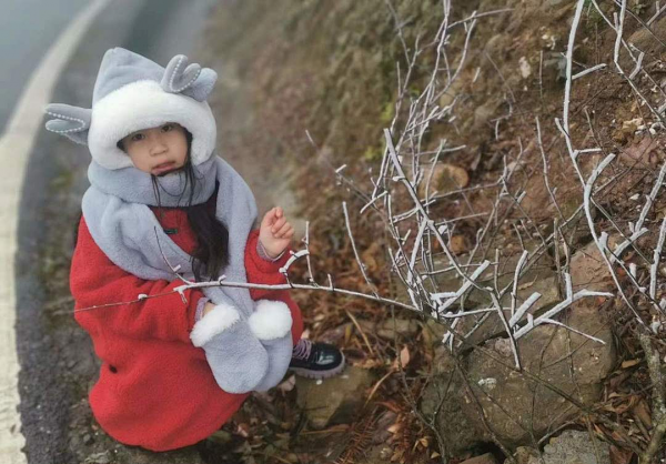 美爆了！陽明山迎來今冬第一場霧凇