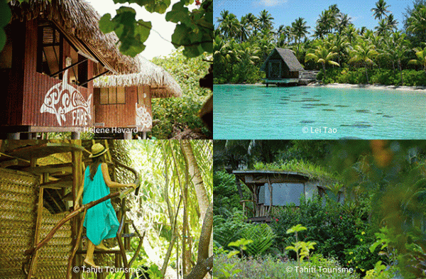 大溪地也有民宿 經濟又有深度