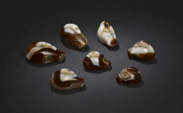 鴨子，身披落霞飛到尋常百姓家