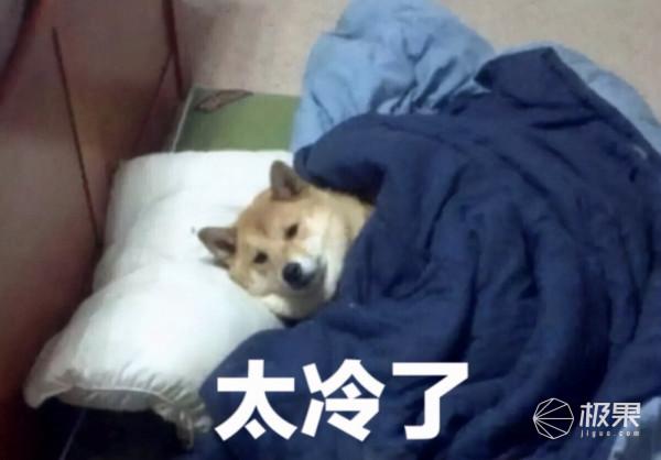 冬日室內“燙臉”指南,一鍵開啟整屋入春,黑白暖王帶你快樂貓冬 冬日室內“燙臉”指南,一鍵開啟整屋入春,黑白暖王帶你快樂貓冬