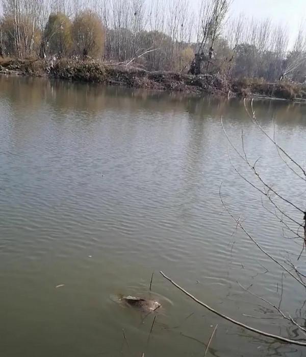 窮人如何休閒釣魚