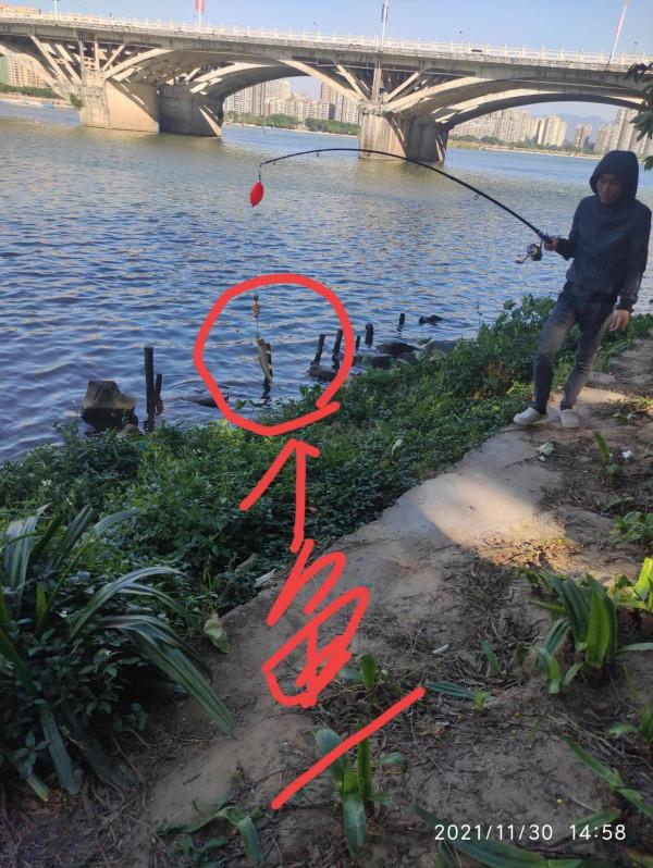 為什麼這些人如此悠閒? 為什麼這些人如此悠閒?