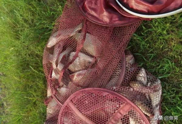 康平花古水庫作釣經驗分享 康平花古水庫作釣經驗分享