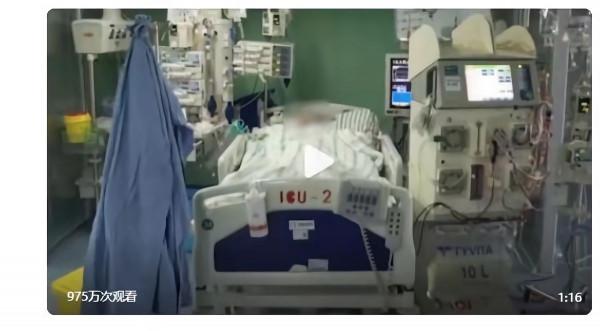 多吃主食死得快？米飯是&OpenCurlyDoubleQuote;垃圾主食&rdquo;？是打臉營養師還是你被誤導