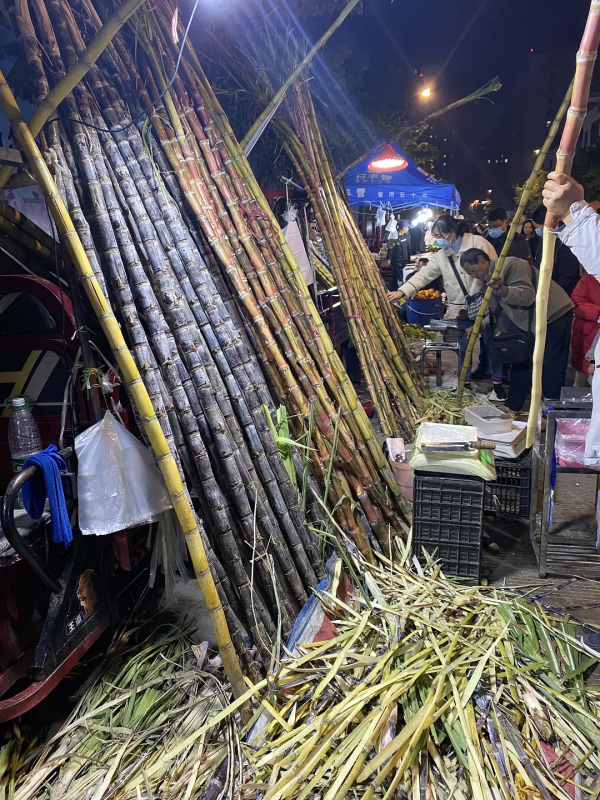 雲南紅河蒙自，大樹寨夜市