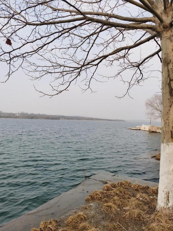 面朝大湖，寒冬刺骨