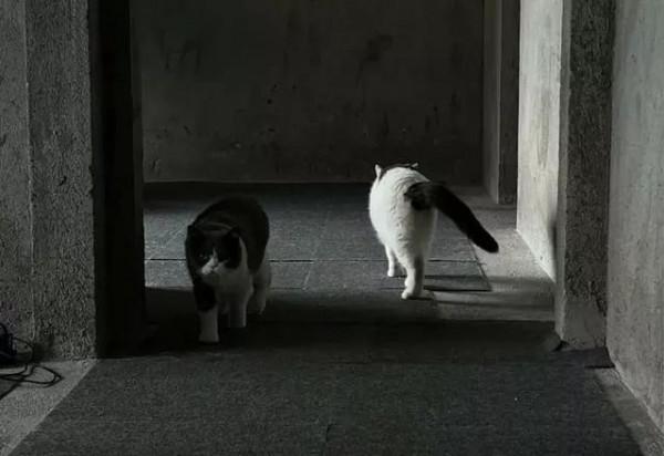 90後情侶入住毛坯房3年，入住毛坯房，他們覺得很快樂