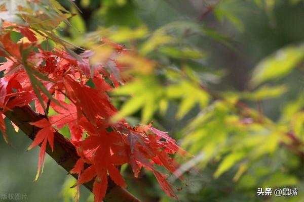 《尉繚子》原文 譯文(十七) 《尉繚子》原文 譯文(十七)