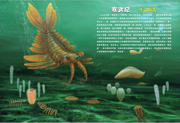 《穿越地球46億年》獲評“2020年度陝西省優秀科普作品”