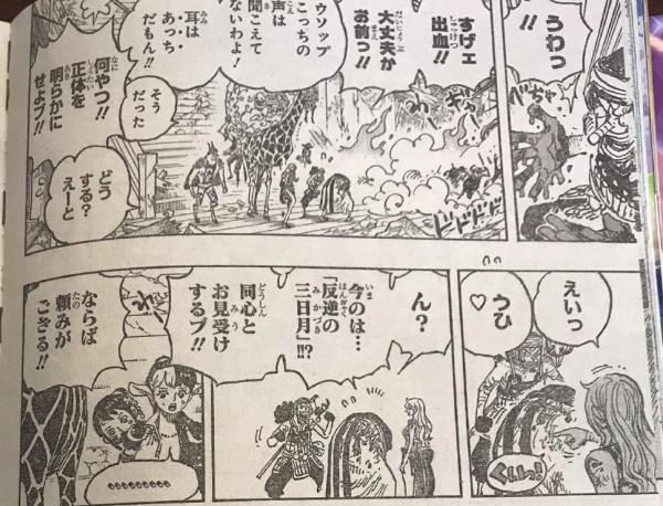 海賊王1030話：錦衛門被斬成兩段都未死亡，堪十郎這次是真倒了