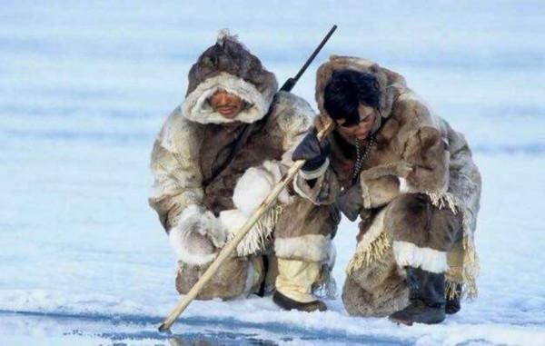 科學家在破冰船漂流389天后宣佈噩耗:北極正在死去,怎麼了? 科學家在破冰船漂流389天后宣佈噩耗:北極正在死去,怎麼了?