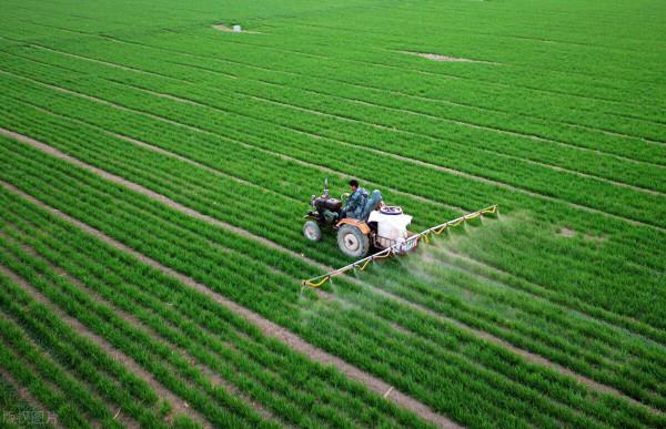 小麥高產套餐，第一遍藥啥時候打？該怎麼配？老農人告訴你答案