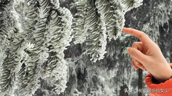 冬遊川渝，被冬季的仙女山驚豔了