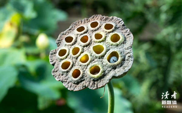 一個家庭最好的狀態：乾淨