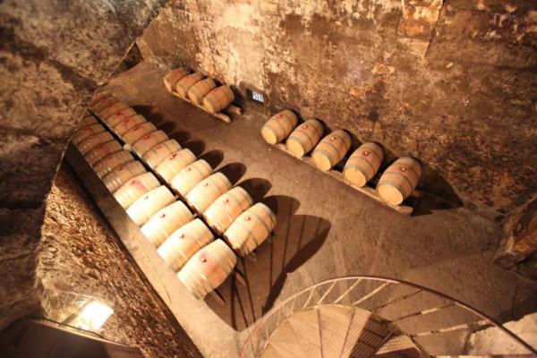 10年深度+豪華遊玩60國