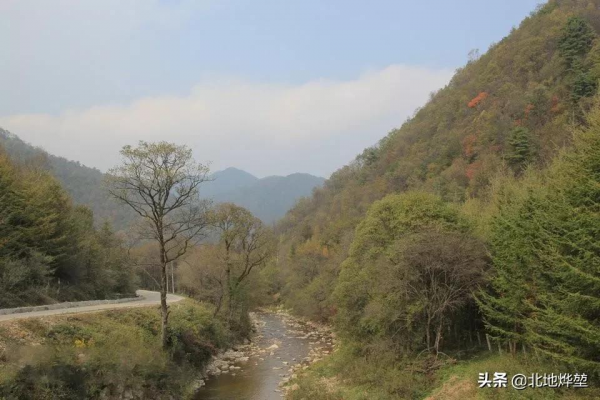 分享一組關山牧場的原生態秋景 分享一組關山牧場的原生態秋景