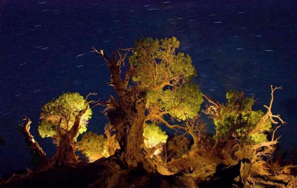 新疆是一幅畫,美得讓人沉醉 新疆是一幅畫,美得讓人沉醉