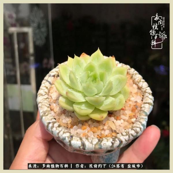 你儘管善良,福報都在路上 你儘管善良,福報都在路上