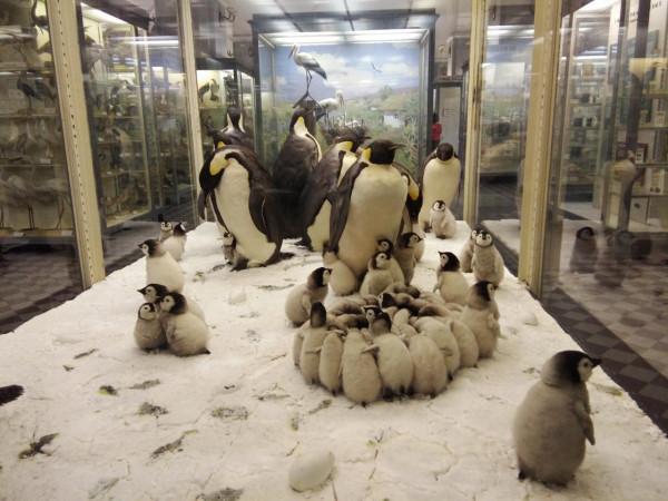 回顧那些我曾去過的地方(一)俄羅斯之一