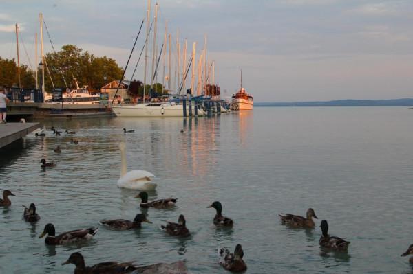 巴拉頓湖，一個風景如畫的好去處