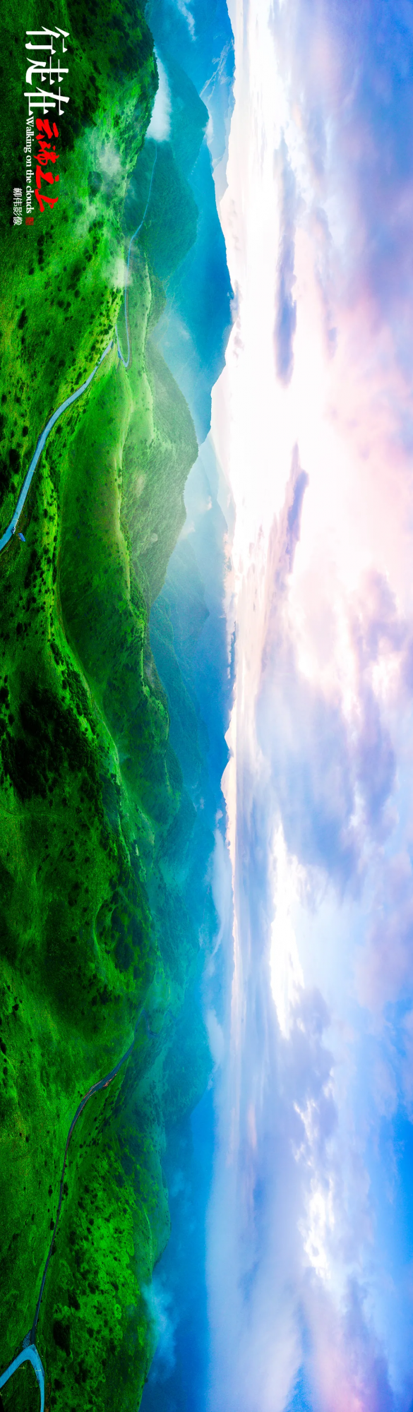 旋轉手機90° →哇！平利正陽雲端草甸這麼美嗎！