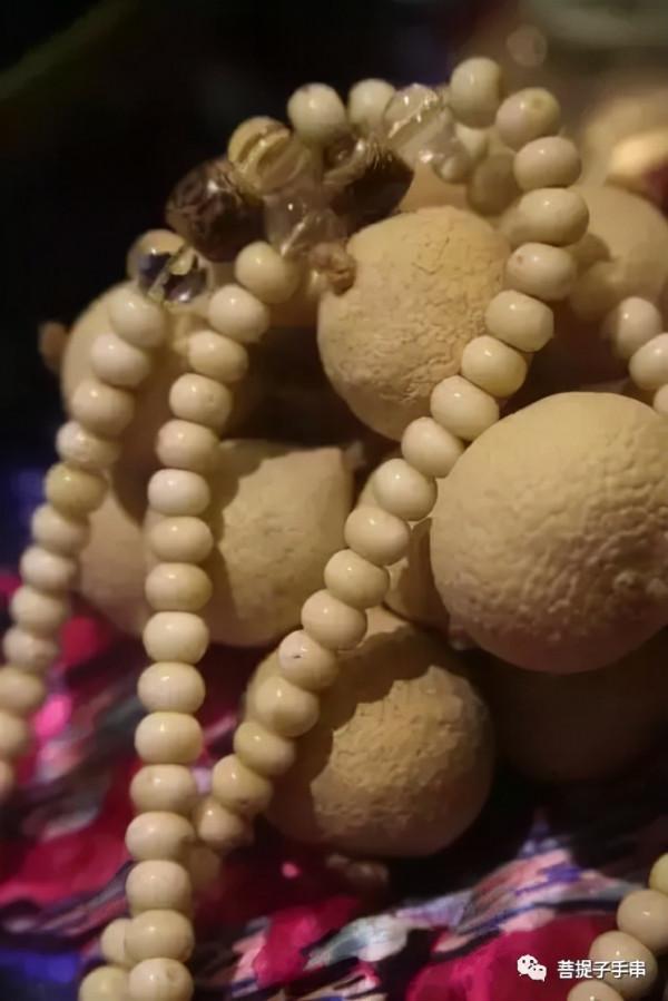 白玉菩提?菩提根?為什麼傻傻分不清楚? 白玉菩提?菩提根?為什麼傻傻分不清楚?