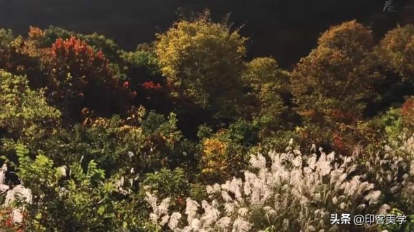 十部治癒系高分電影