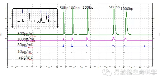 腺相關病毒AAV載體的製備與表徵