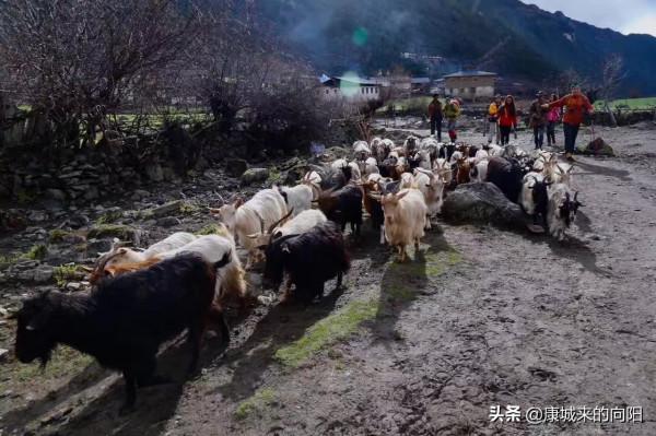 這條徒步線路太美了，這線路適合想去而沒有去過高原的人