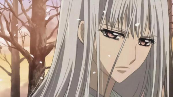 《吸血鬼騎士》1+2季