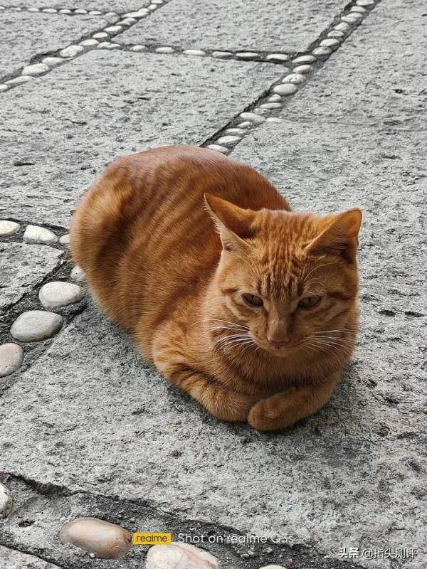 realme Q3s使用體驗，是否值得入手呢？