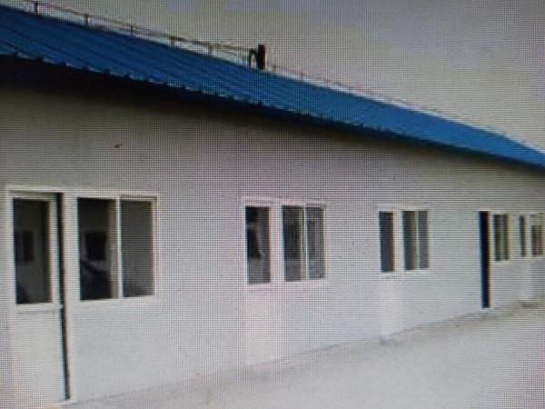 樹林裡的養雞場不賣雞