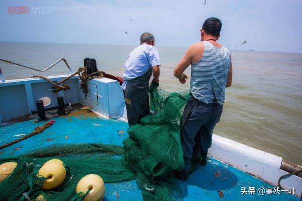 二十人4500元包船出海捕魚，捕獲的海鮮吃完一餐，每人還分到一箱