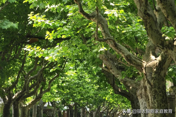 俞敏洪火爆演講:為啥孩子們從小就要丈量天地 俞敏洪火爆演講:為啥孩子們從小就要丈量天地