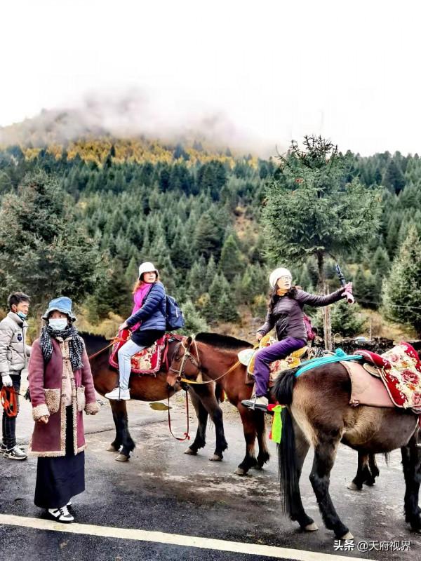 西行藏區9 熱情的甲居藏寨 一言難盡的黨嶺旅遊 西行藏區9 熱情的甲居藏寨 一言難盡的黨嶺旅遊